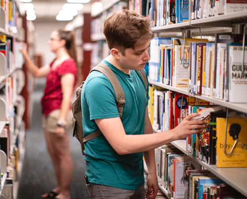 library browsing