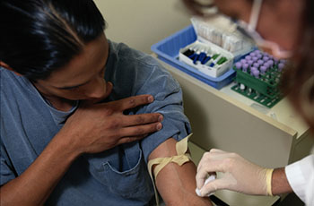 Phlebotomy Training Program
