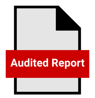 Audited Report on Financial Statements