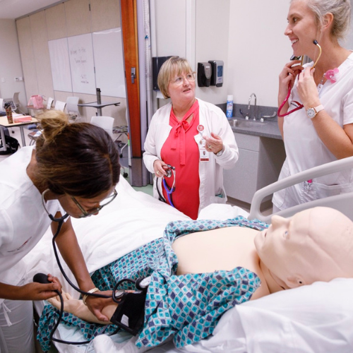 Dogging Deep Scholarship