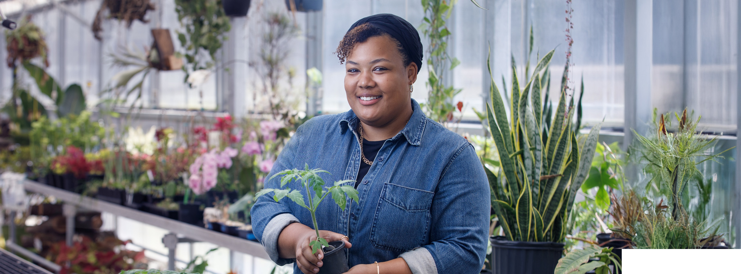Student holding a plant in a greenhouse surrounded by flowers