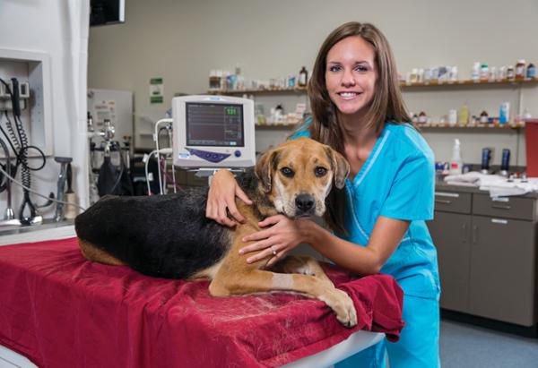 Veterinary Technology student with dog in lab
