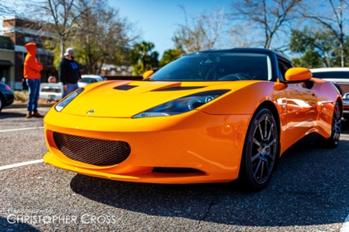 SpringSpin_Lotus