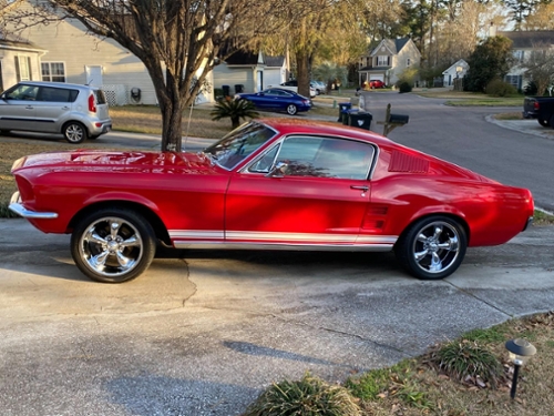 SpringSpin_mustang