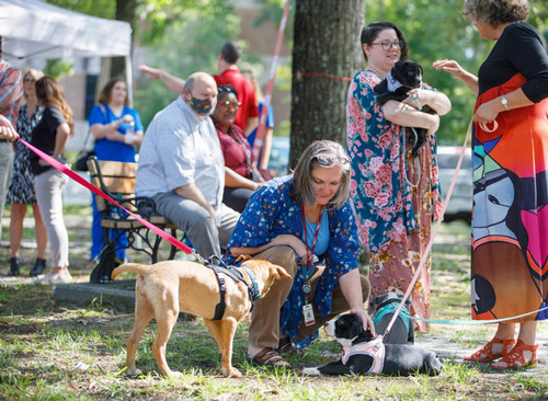 CampusCampaign_Puppies.jpeg